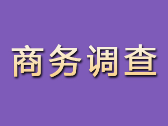 城子河商务调查